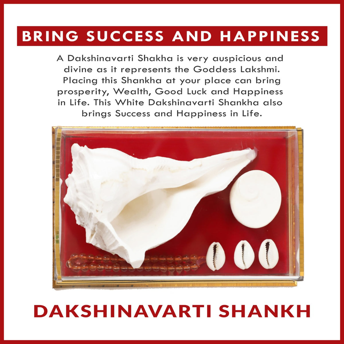 Dakshinavarti Shankh