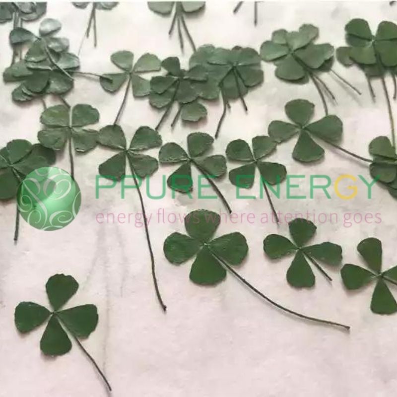 Four-Leaf