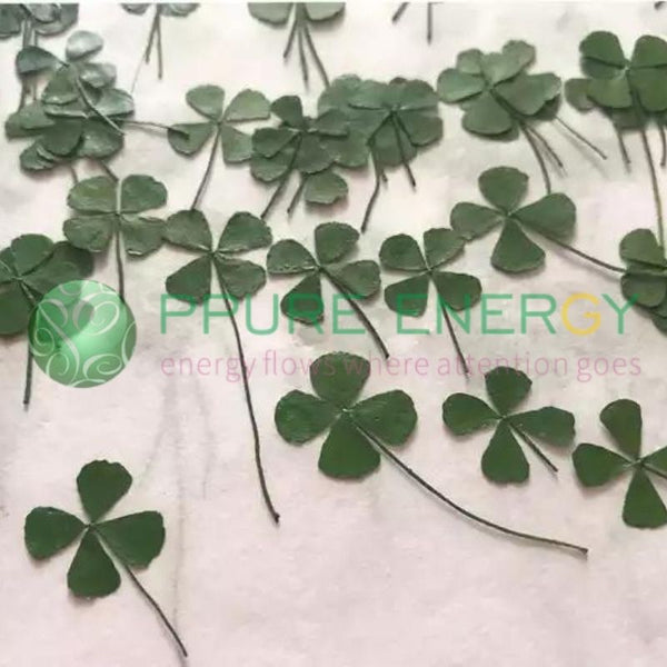 Four-Leaf