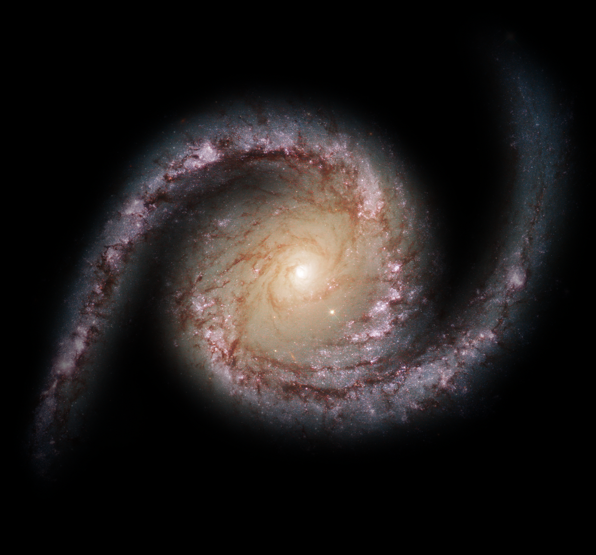 Galaxy Member