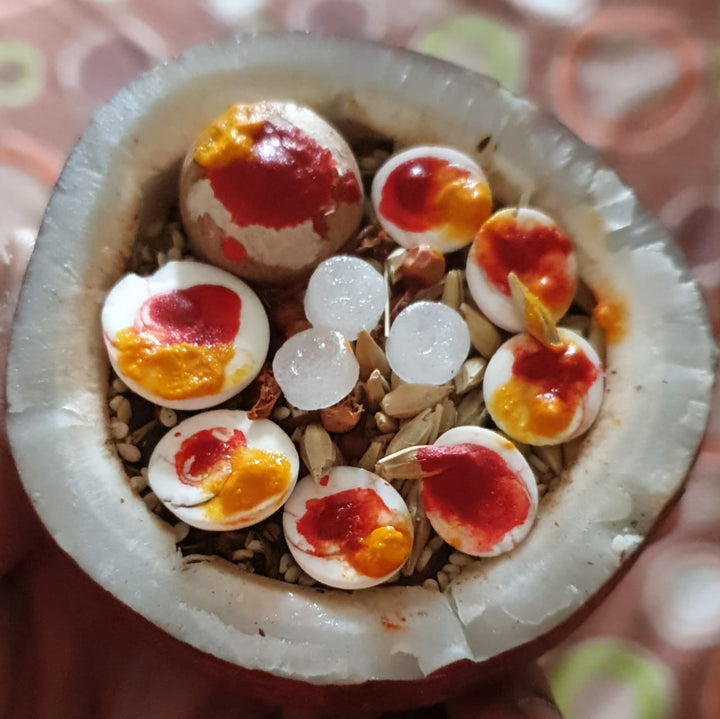 Holika Dahan Ahuti Coconut