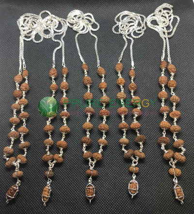 Rudraksha