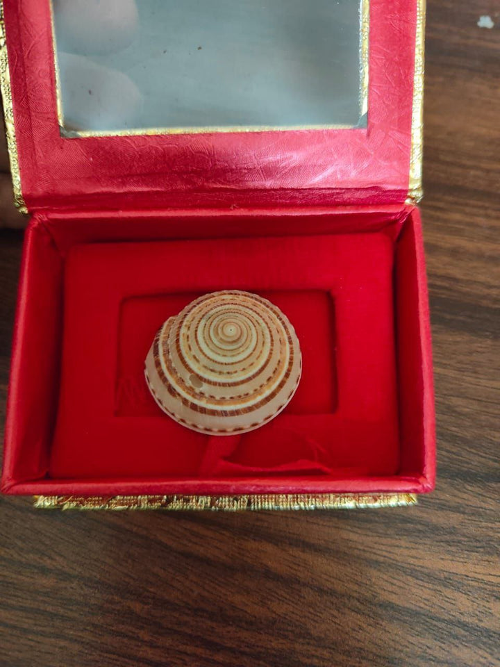 Vishnu chakra
