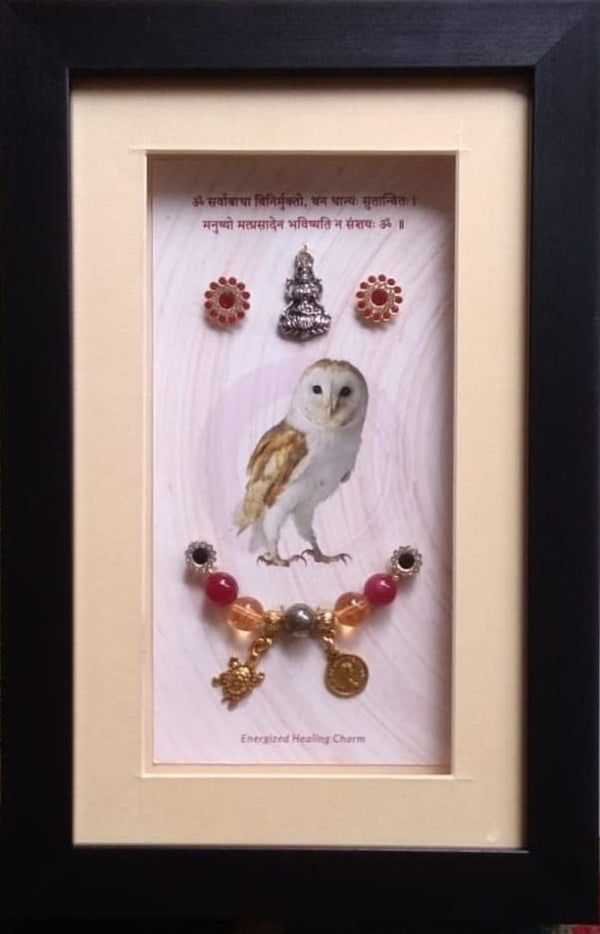 Wealth & Prosperity Owl Frame Charm