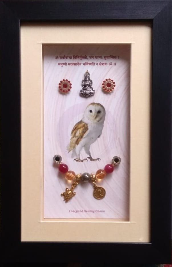 Wealth & Prosperity Owl Frame Charm